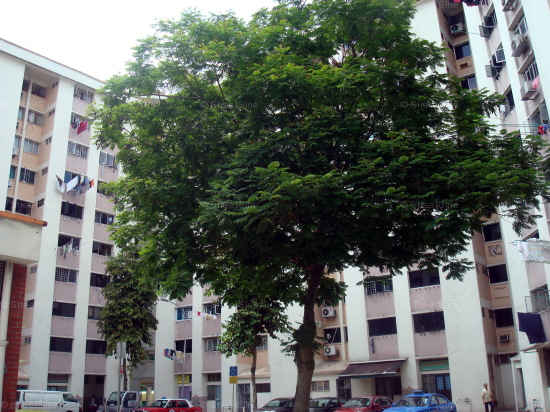 Yishun Street 71 thumbnail photo